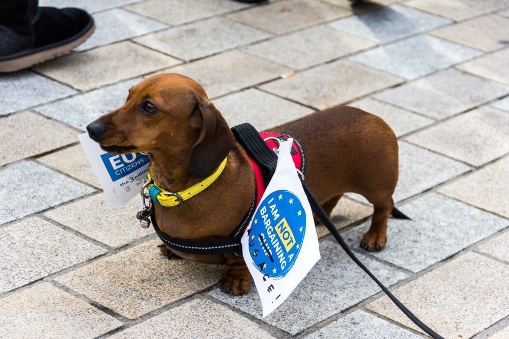 (c) Clive Lewis / Wooferendum Campaign