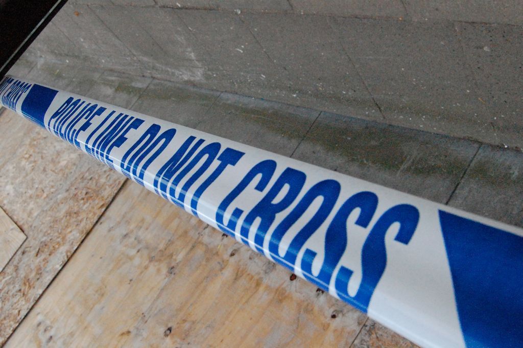 Man fatally stabbed in north London