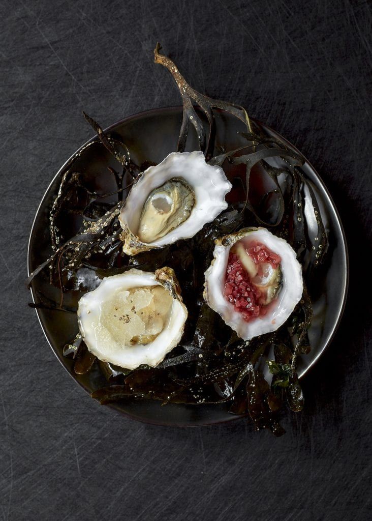 Yopo - Dorset Rock Oysters