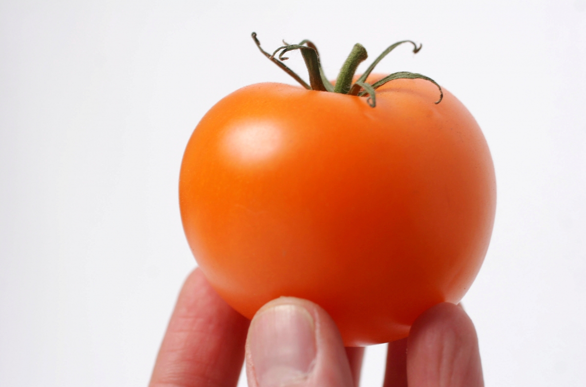 Compound in tomato skins could help fight diabetes