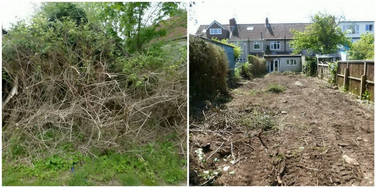 Landlord fined £7000 for neglecting property and gardens grow wild