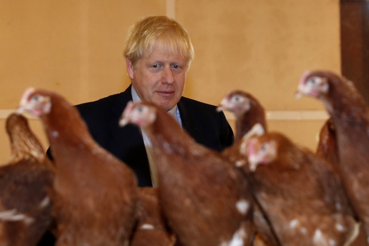 Boris Johnson clutches chicken after reports spin doctor was Tory-taunting bird