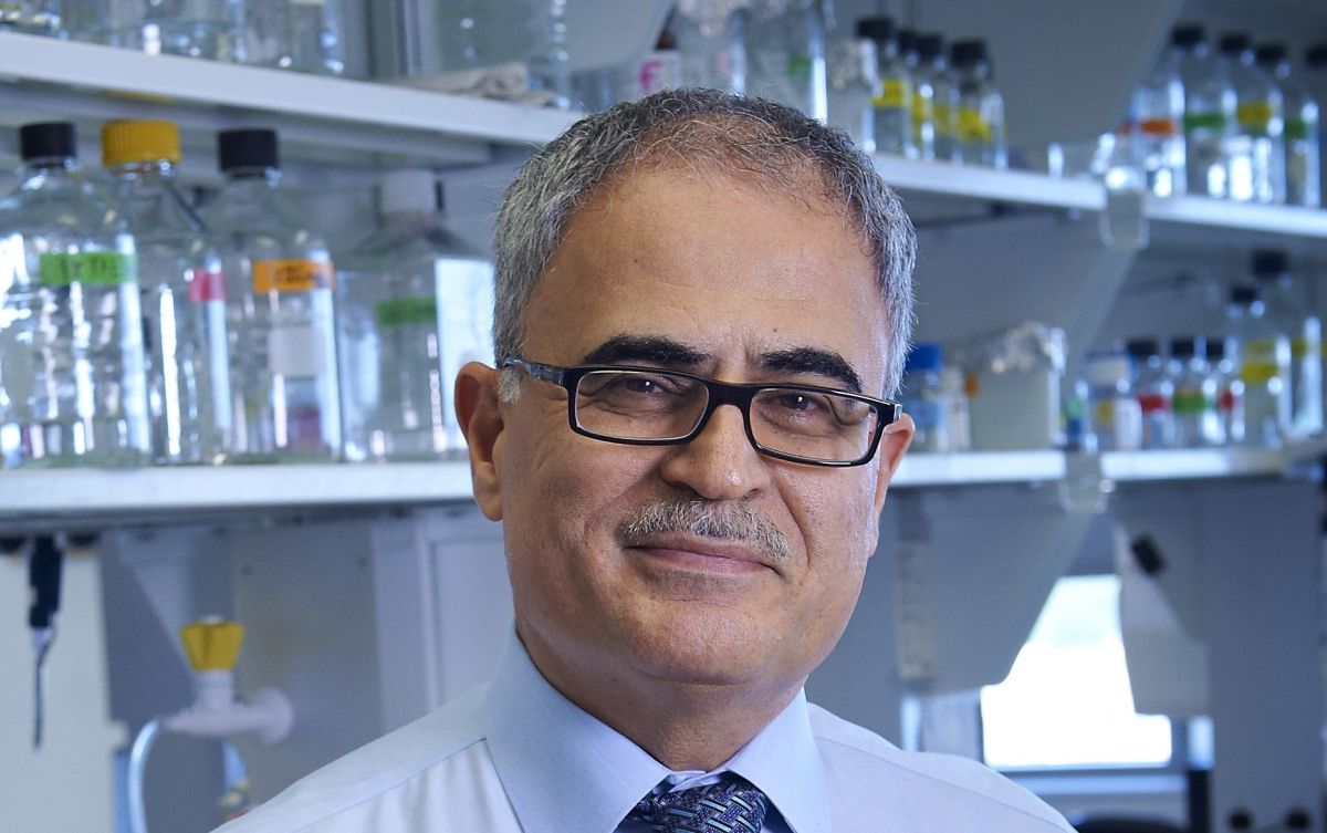 With CRISPR and Medication, Scientists Remove HIV Virus from Mice With CRISPR and Medication, Scientists Remove HIV Virus from Mice