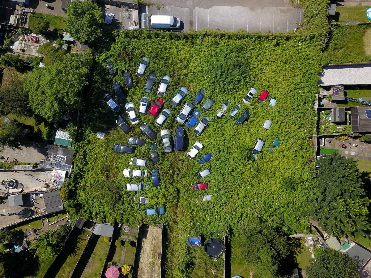 Pics show allotment has been turned into car graveyard