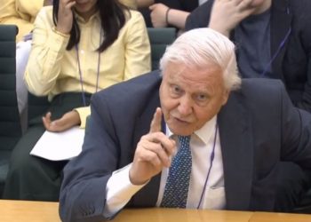 Naturalist Sir David Attenborough giving evidence to the House of Commons Business, Energy and Industrial Strategy Committee,