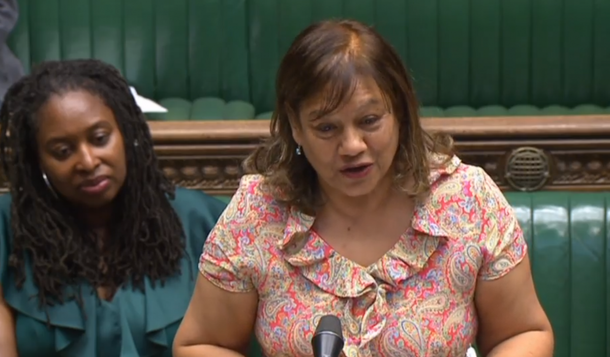 Shadow Commons leader Valerie Vaz