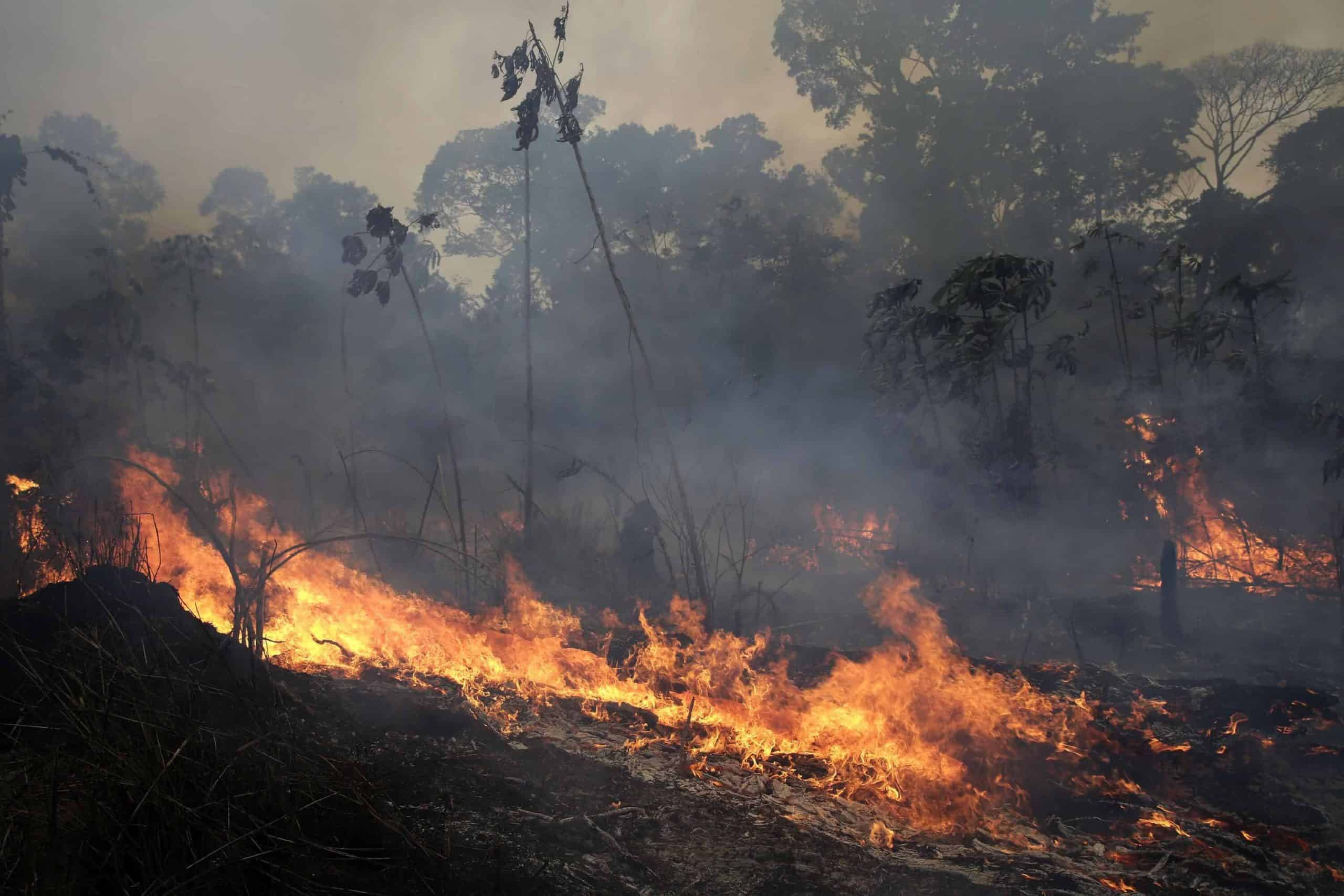 Brazilian President Bolsonaro demands Macron apology before he will accept aid for Amazon fires