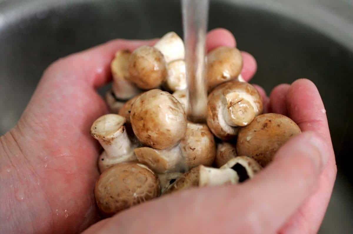 Eating mushrooms three times a week can slash your chances of prostate