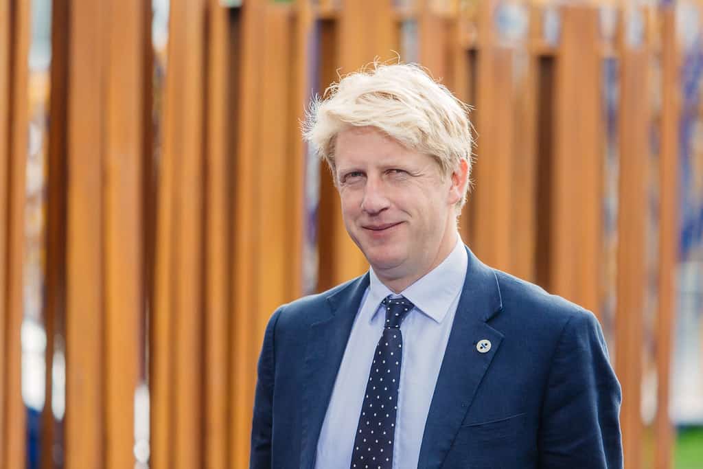 ‘Torn between family and national interest’ – Boris Johnson’s brother Jo quits as MP and minister