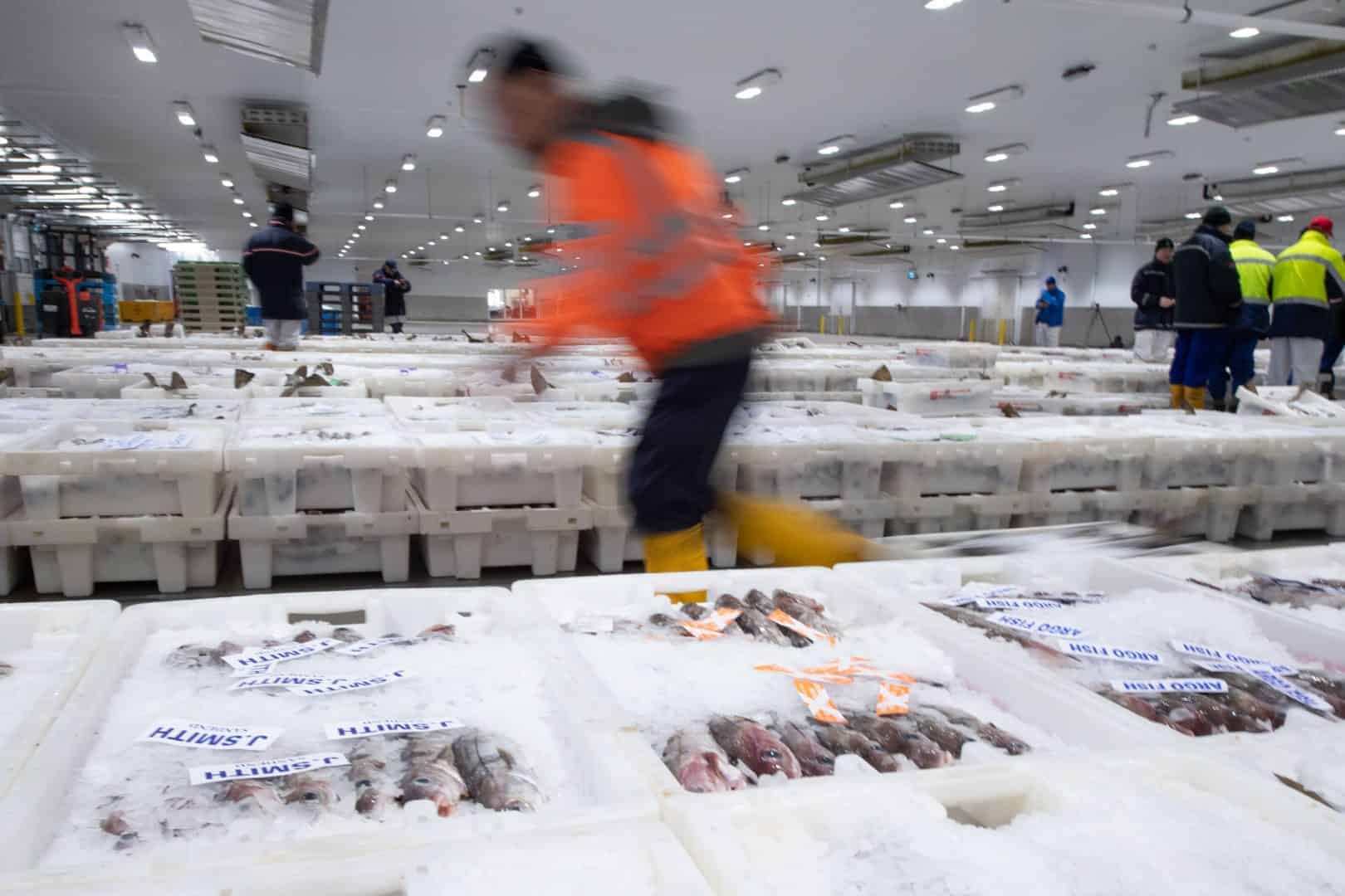 Brexit’s ‘catastrophic’ £34m bill for Scotland’s fishing sector revealed