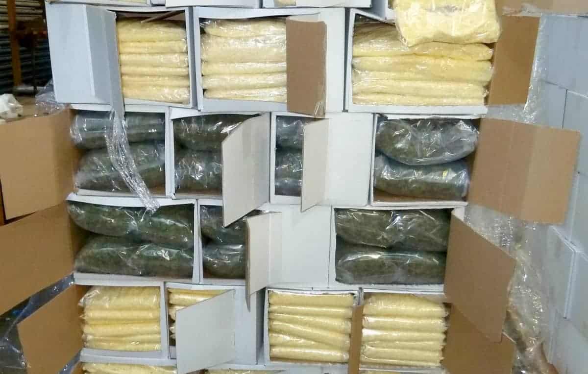 Jail for smugglers who used cheese to disguise £5 million of cannabis