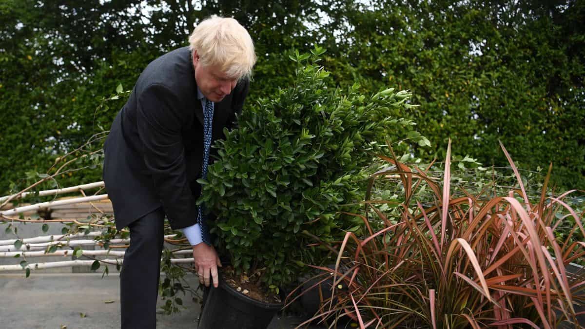 Boris Johnson plants tree