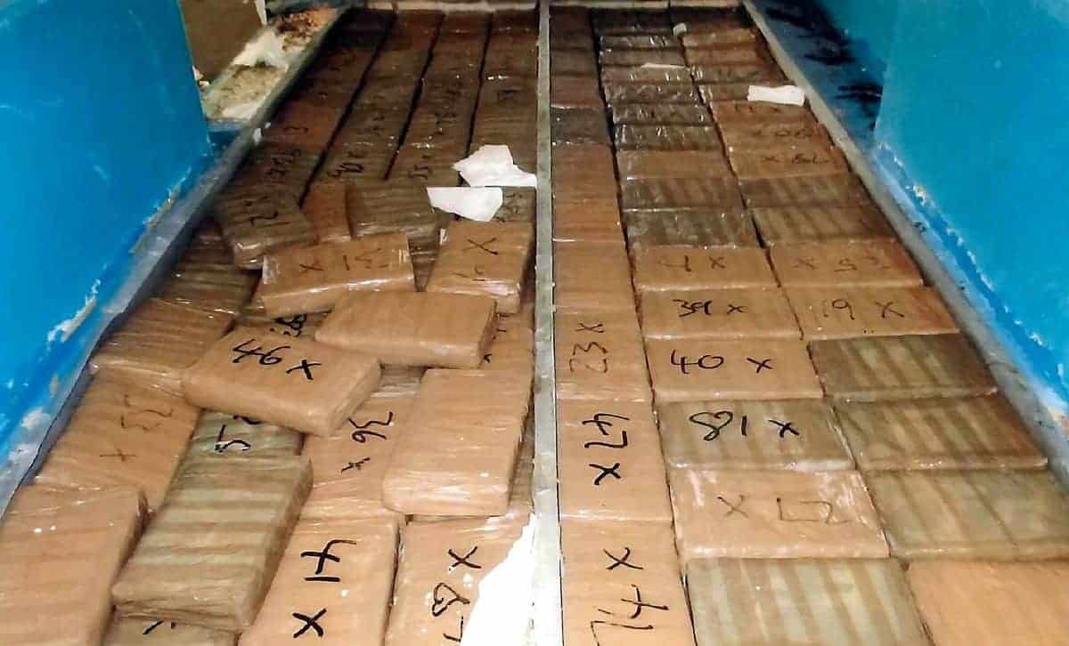 Line caught – Man caught trying to import £10 million of cocaine into UK hidden in van carrying frozen fish
