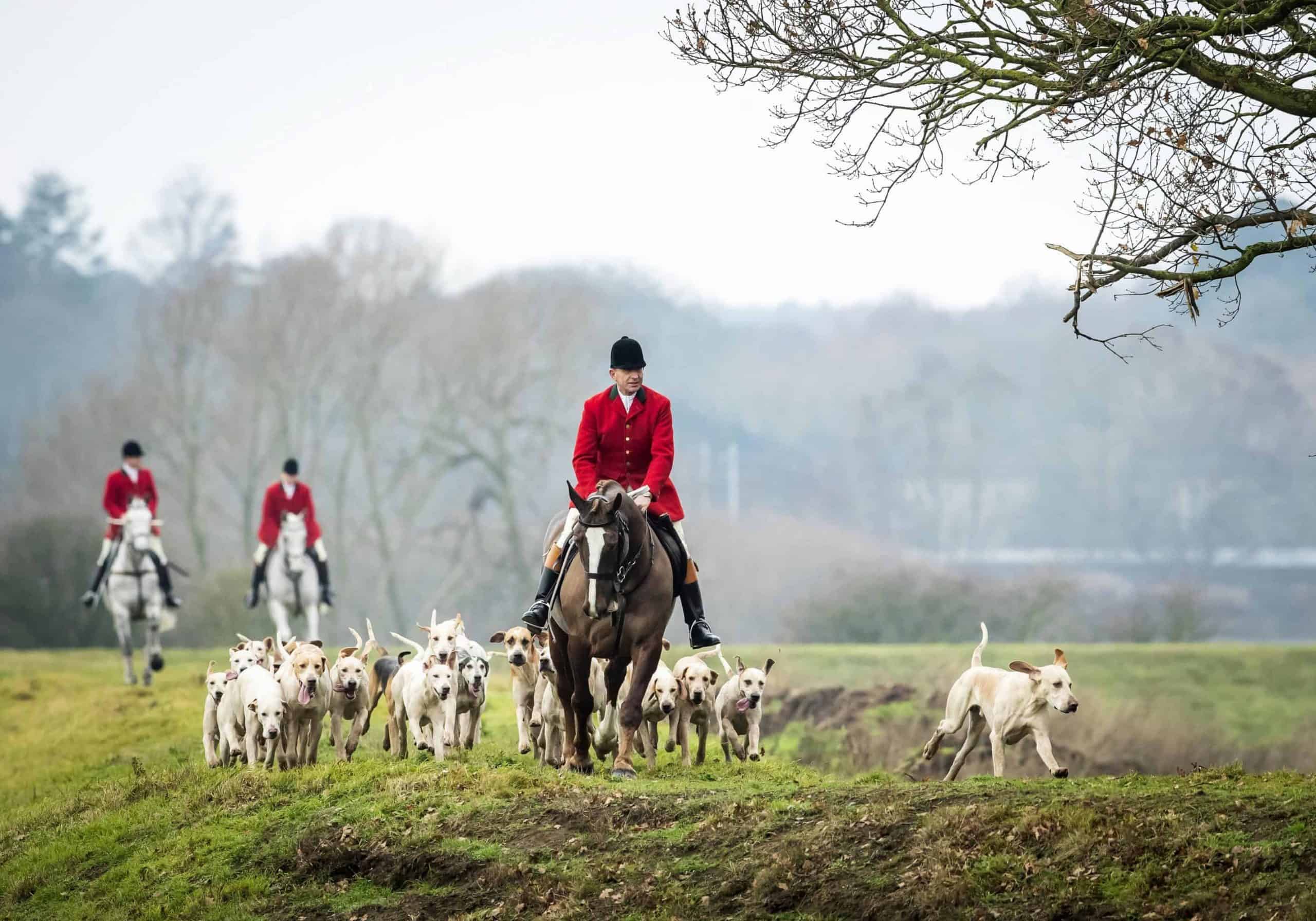 Two-year-old girl dies after falling from a pony during hunt