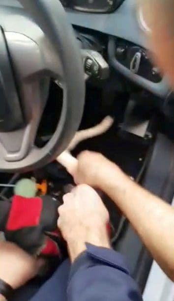 WINDSCREEN VIPER – Watch moment firefighters rescue three-foot RATTLE SNAKE hidden inside car dashboard