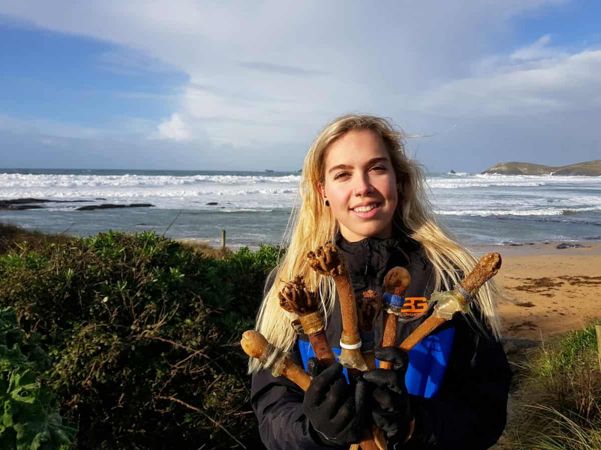 Shocking pics reveal how sea kelp off British coast are growing through plastic bottle caps
