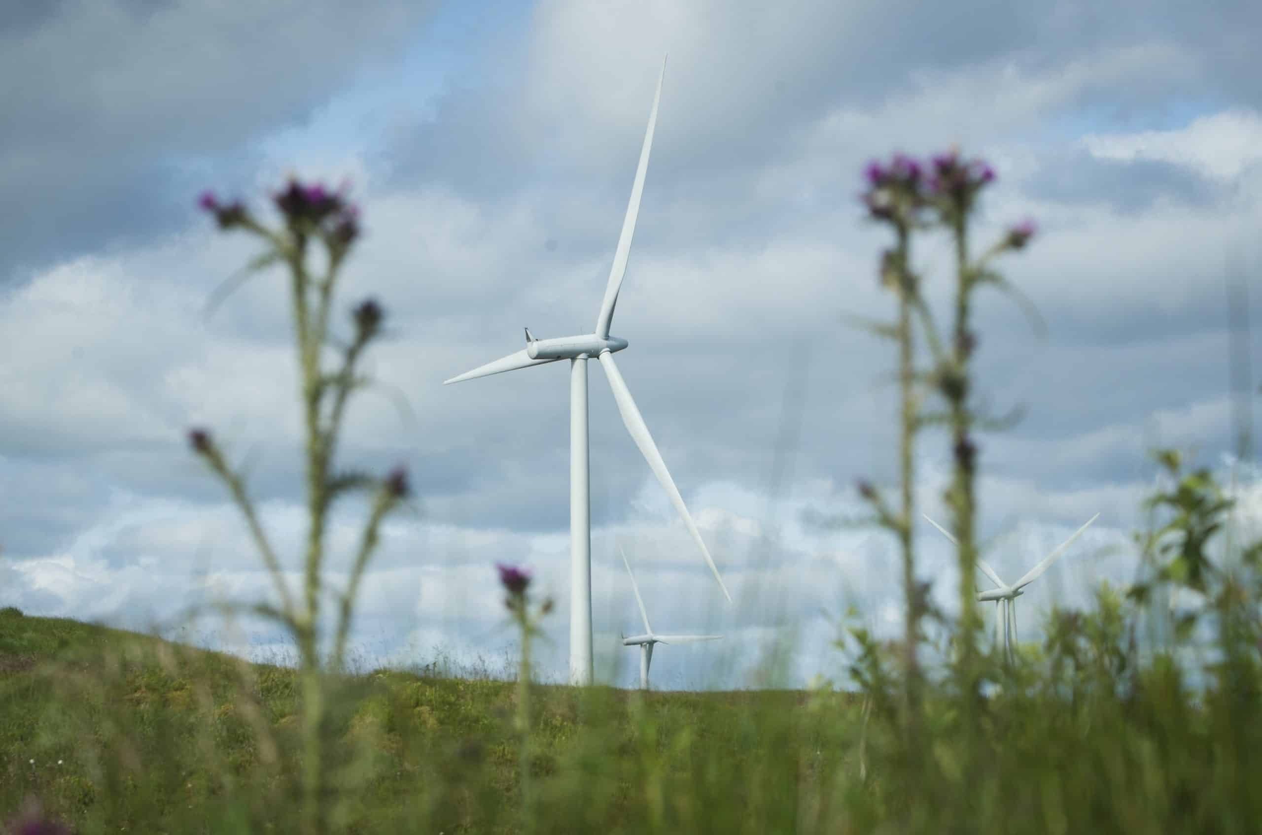 Green groups welcome moves to end block on onshore wind