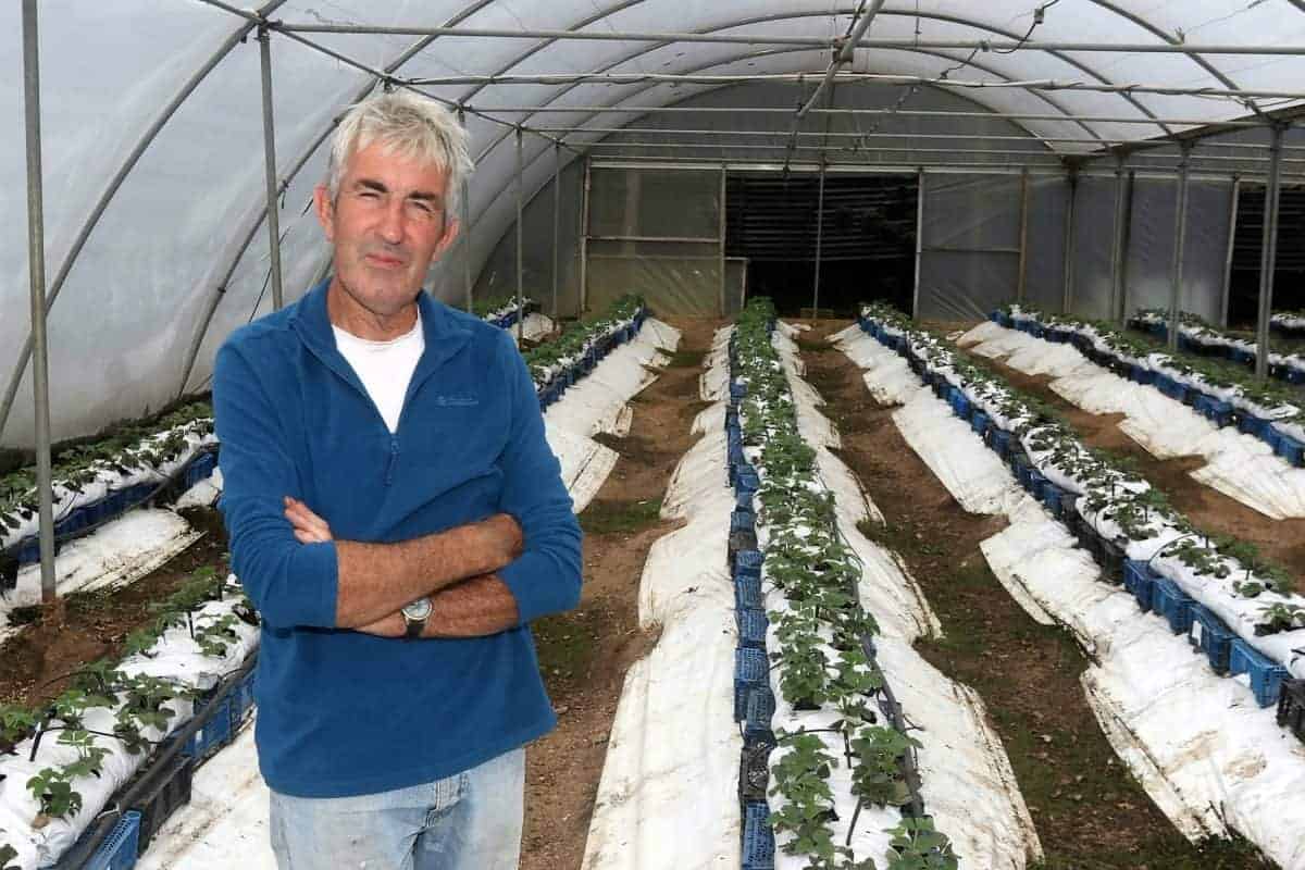 Veg may be left to rot as Brit farmers can’t get EU workers due to coronavirus & Brexit