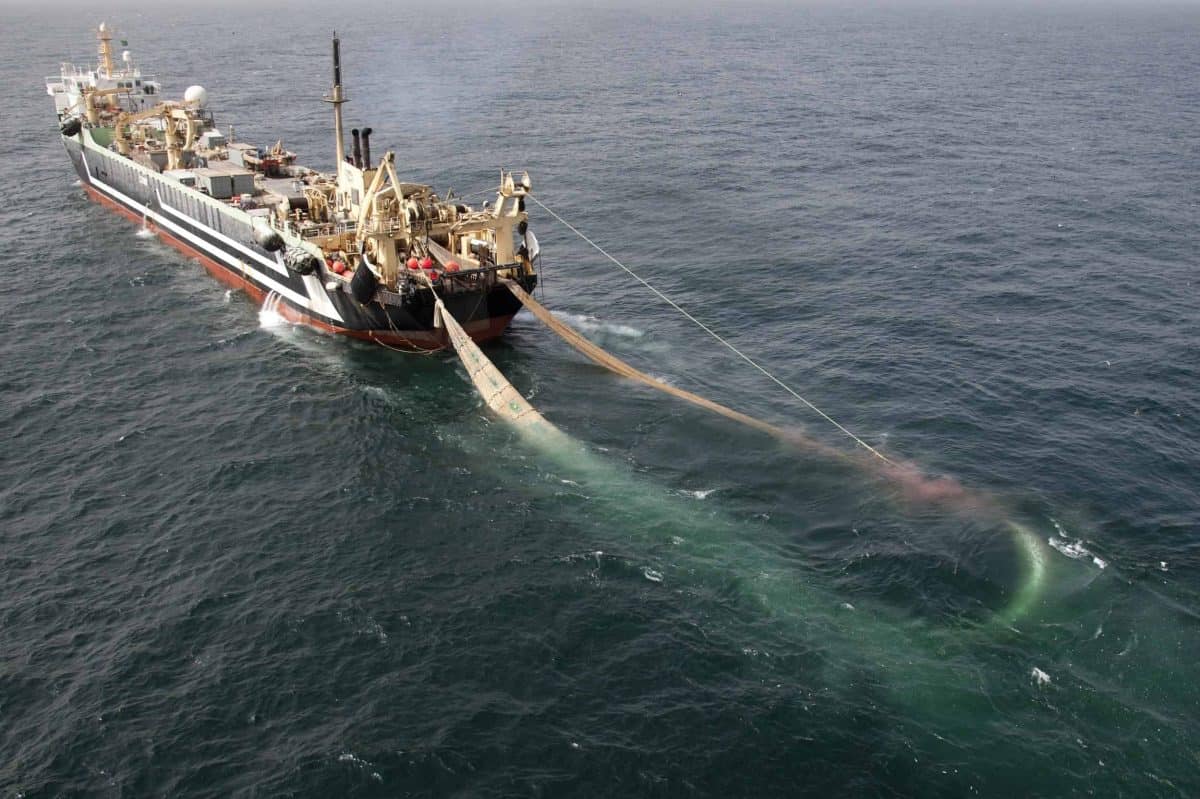 Undated handout photo issued by Greenpeace of the world's second largest factory fishing trawler, the Lithuanian FV Margiris, which has been spotted off the south coast of England, raising environmental concerns. Credit;PA