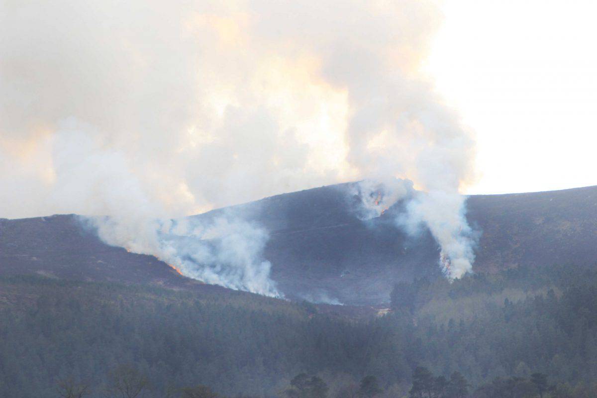 Police hunt arsonists after blaze destroys 100 hectares of National Park