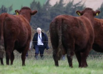 bull s Boris Johnson