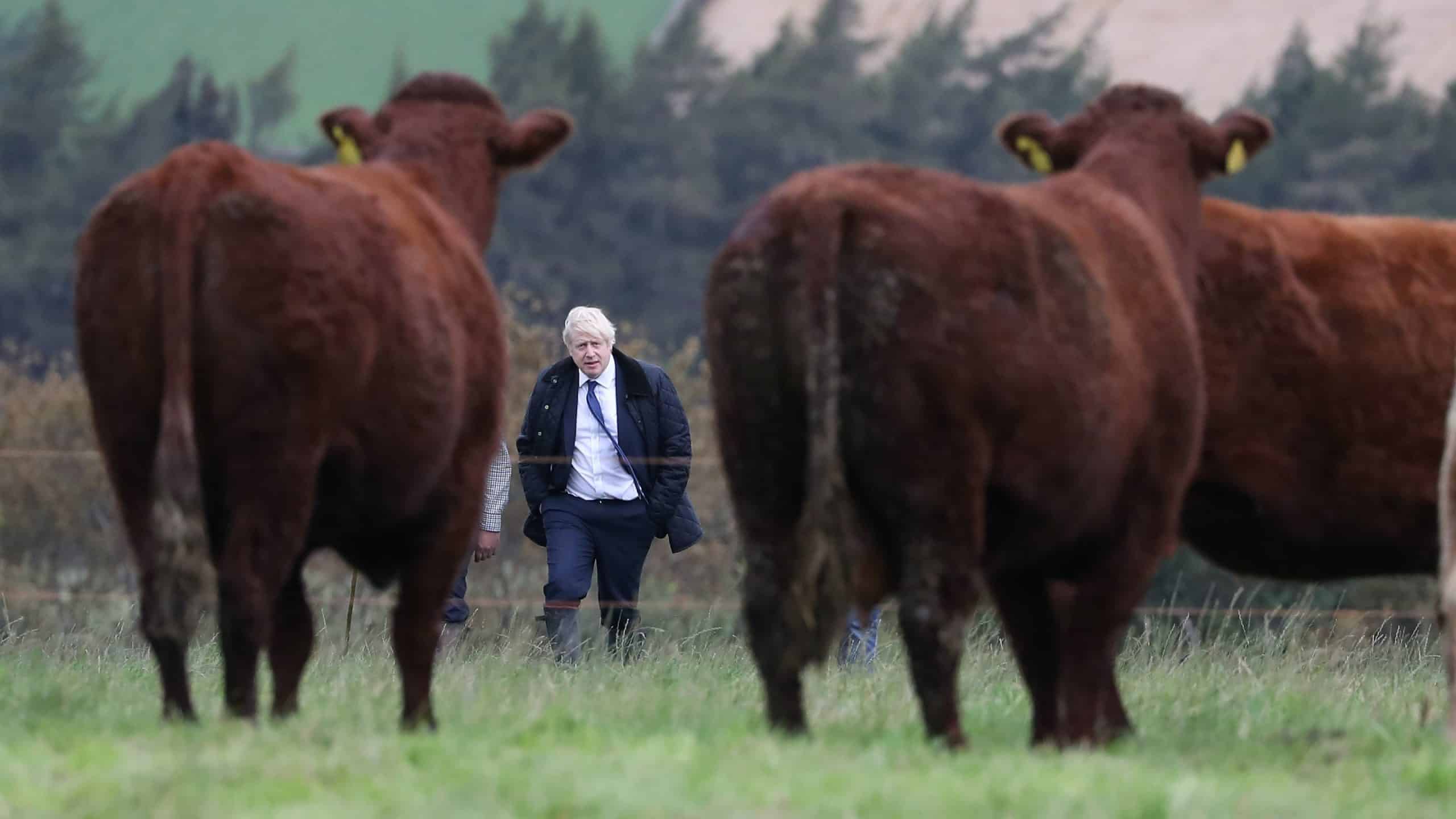 bull s Boris Johnson