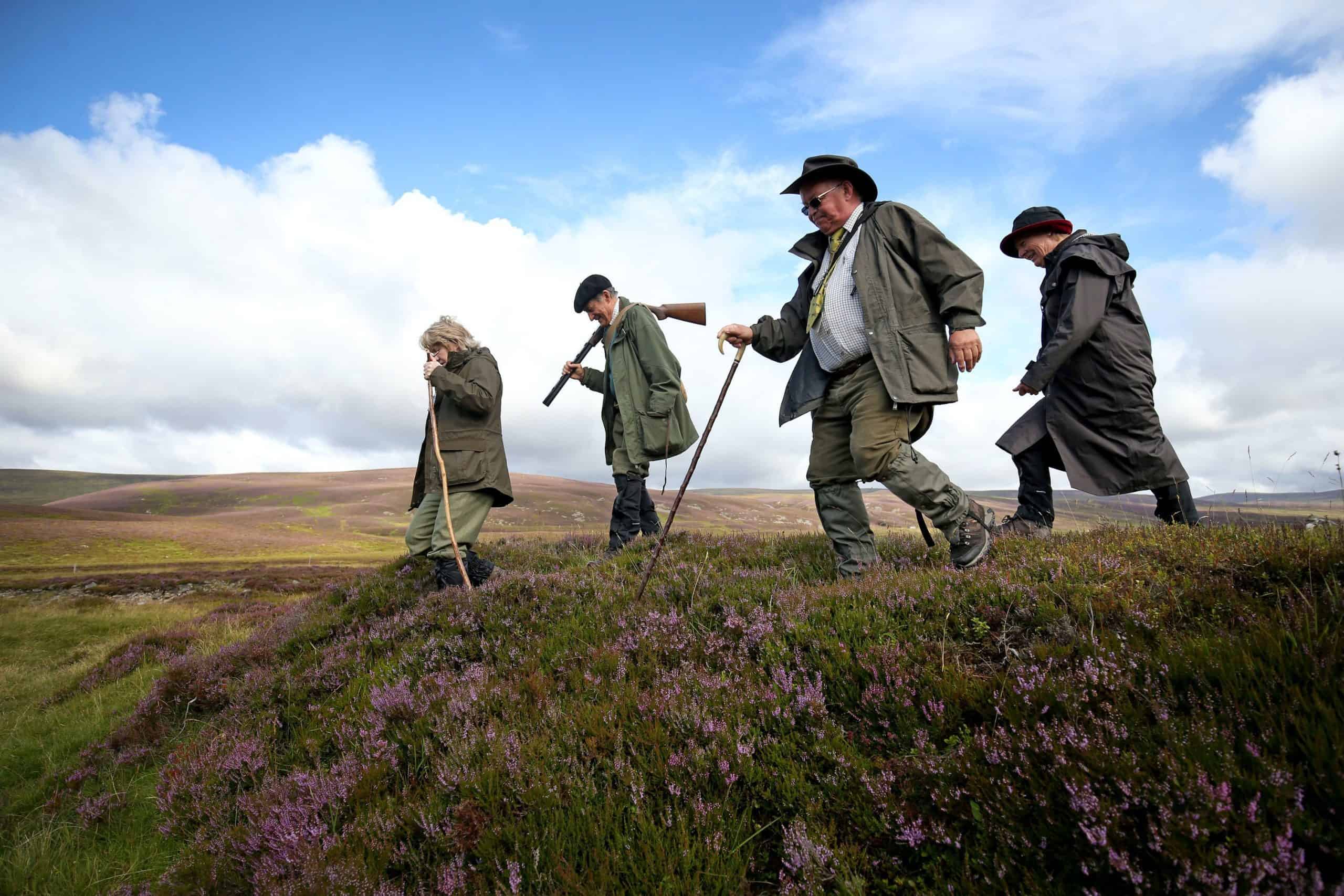 ‘Levelling up’ claims questioned after grouse shooting and hunting added to rule of six exemptions