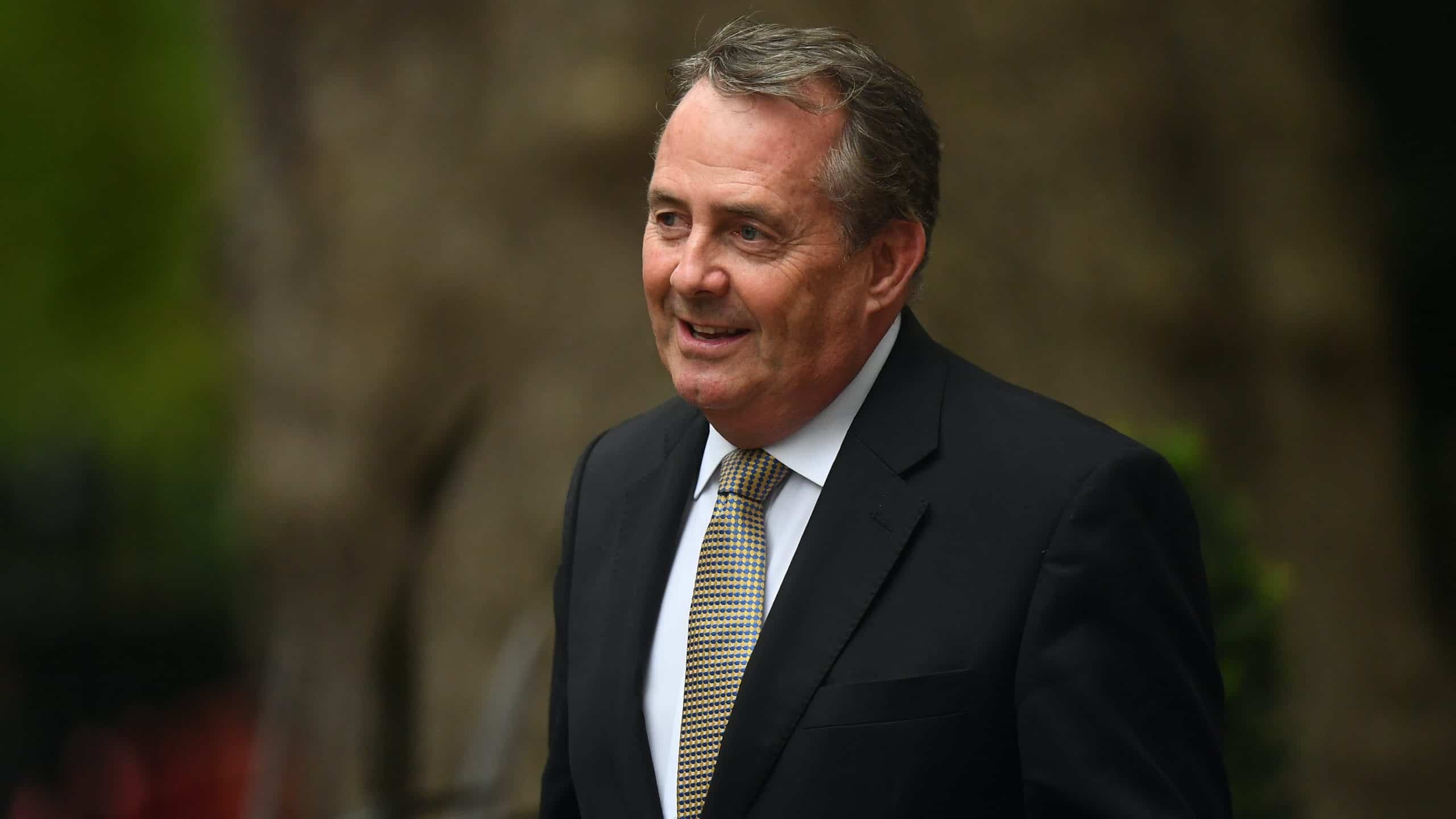 Brexiteer MP Liam Fox progresses to next round in race to be WTO chief