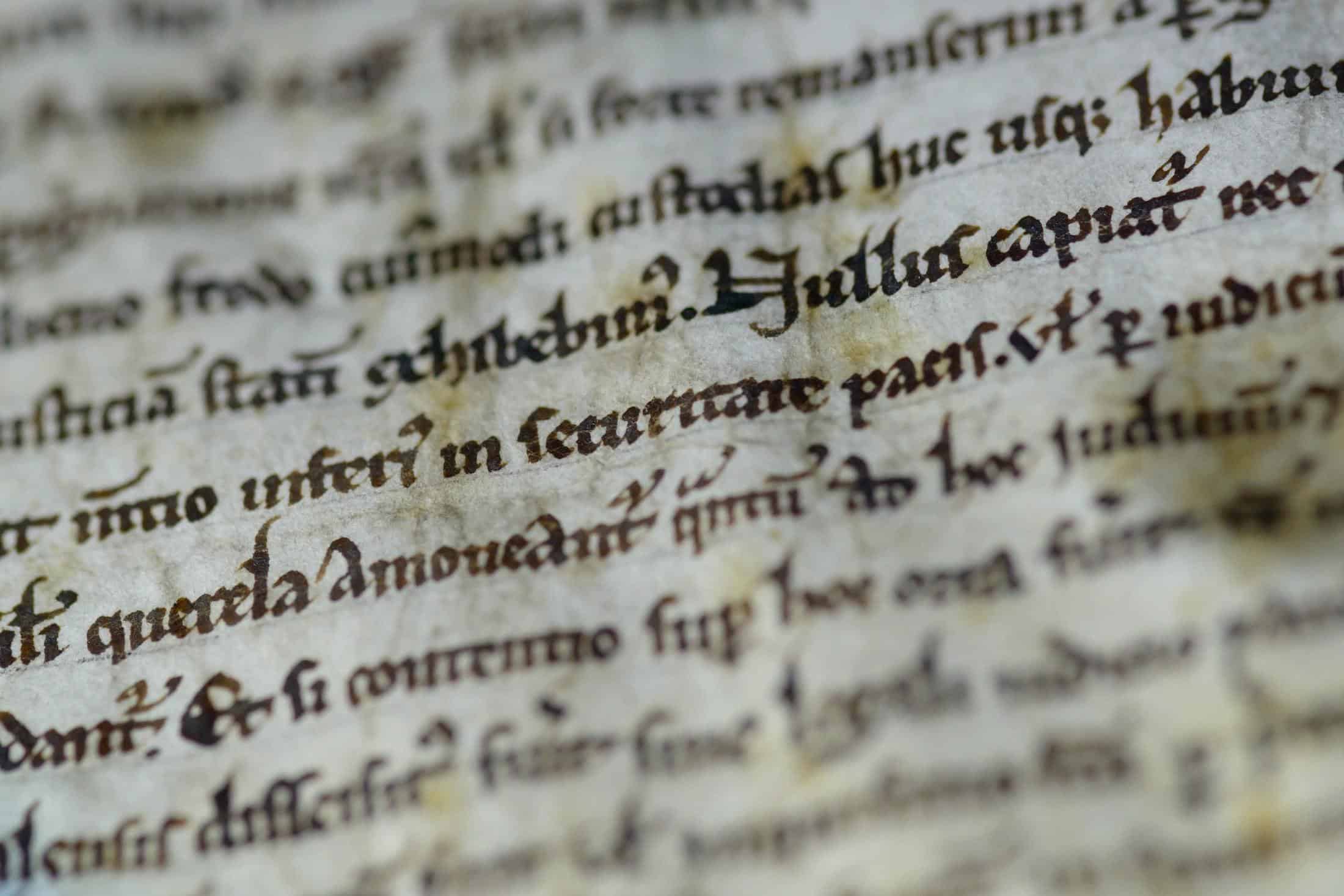Video – Reactions as Magna Carta used to try and get around Covid restrictions