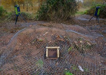 The badger sett covered with netting: Credit;SWNS