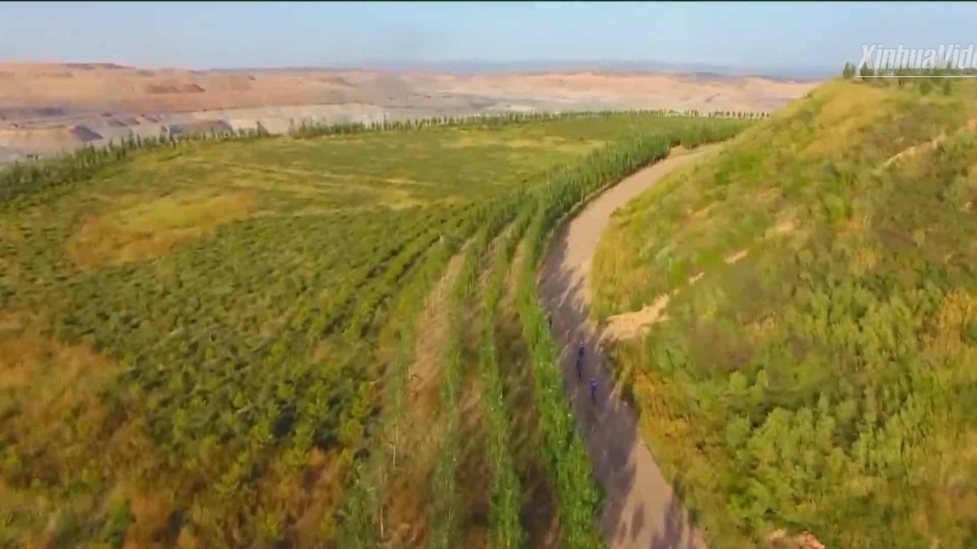 Watch – Couple transformed desert into 47km² of green oases over three decades