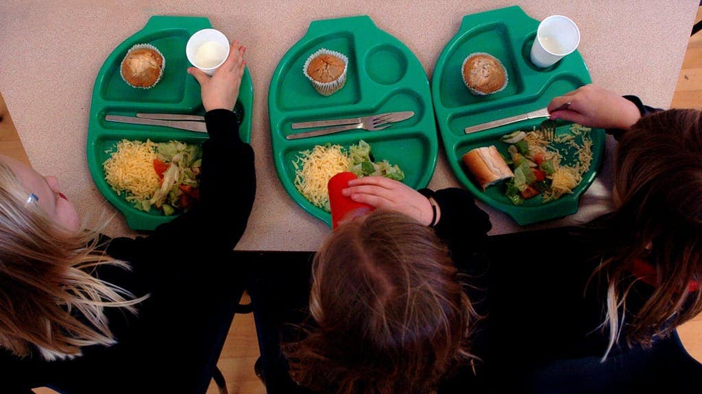 Free school meal contract given without tender to company with “limited evidence” of its capacity to deliver