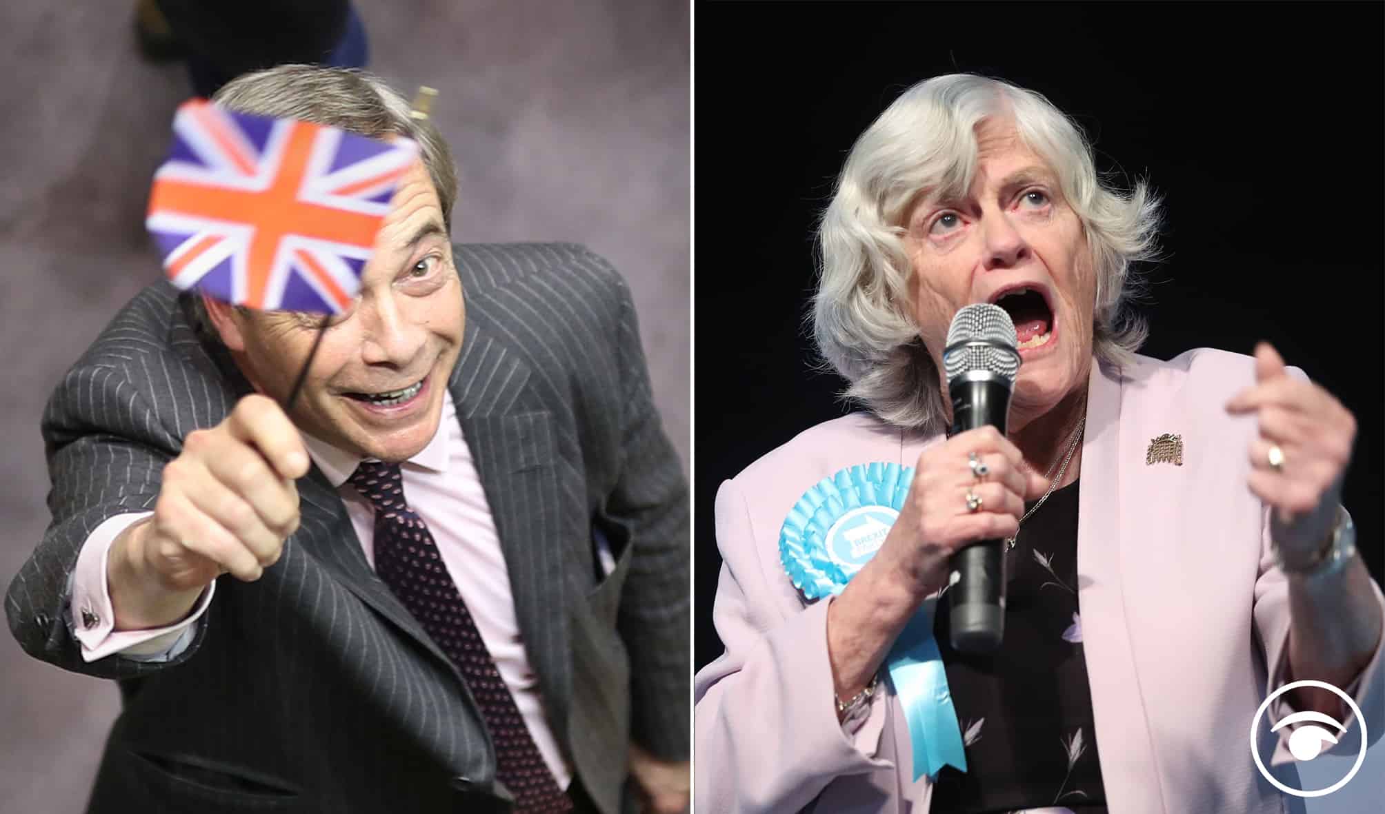 Even the Brexit Party? German MEP misses British humour in European Parliament