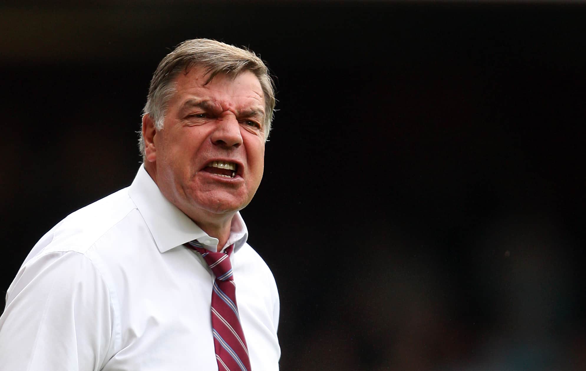 Leave-voting Sam Allardyce bemoans Brexit curbs on foreign signings