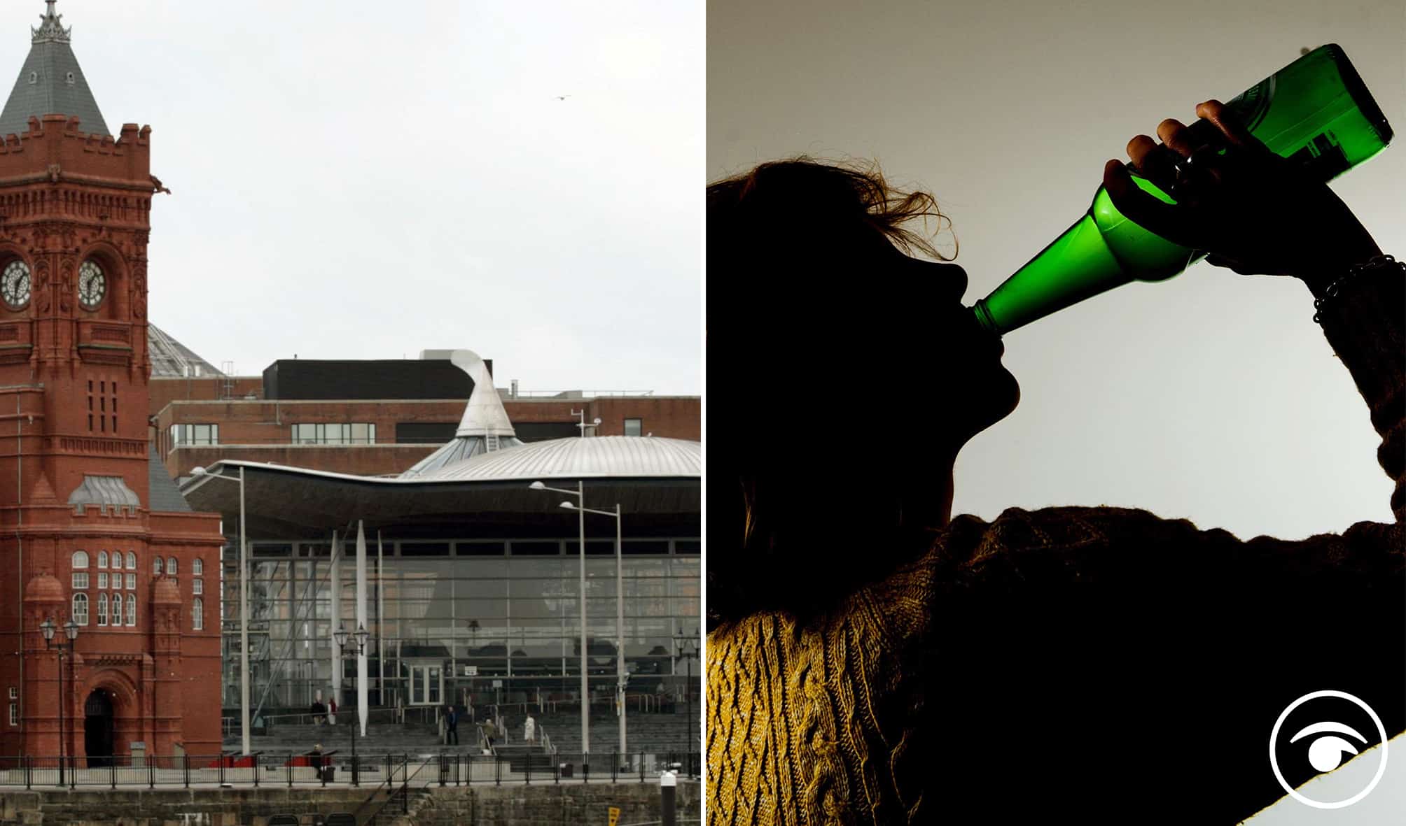 Politicians drinking at Welsh Parliament is a ‘serious matter’