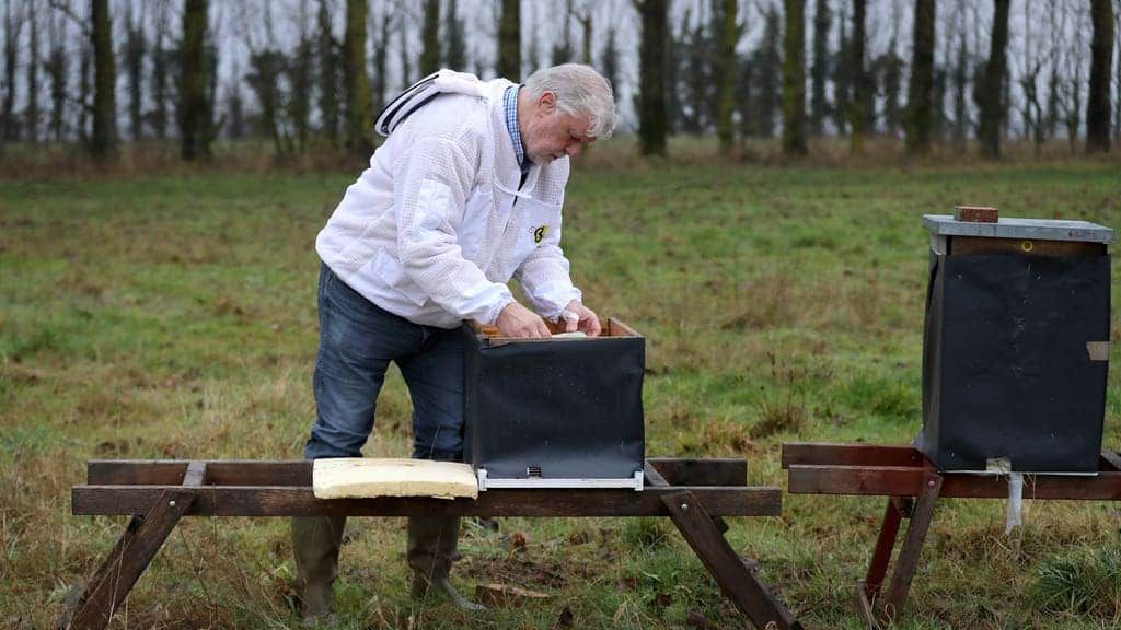 Beekeeper in Brexit row with Government over threat to burn 15m baby bees