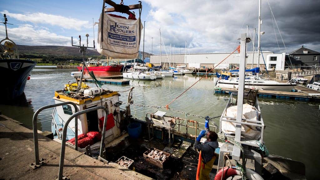 British fishers warn of “fatal blow” as EU bans shellfish indefinitely