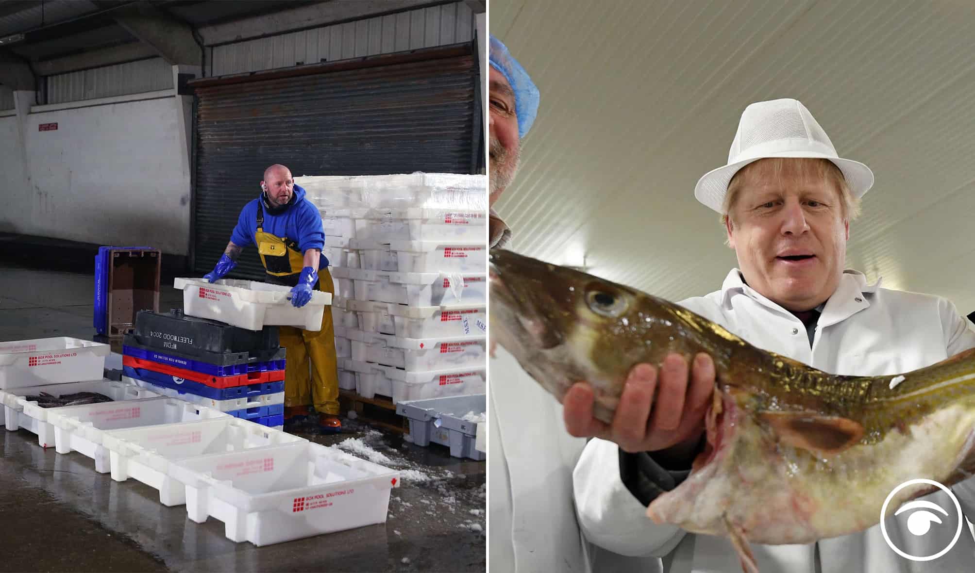 ‘Dreadful first few weeks’ for Scotland’s fishing sector as ‘with every day that passes new issues emerge’