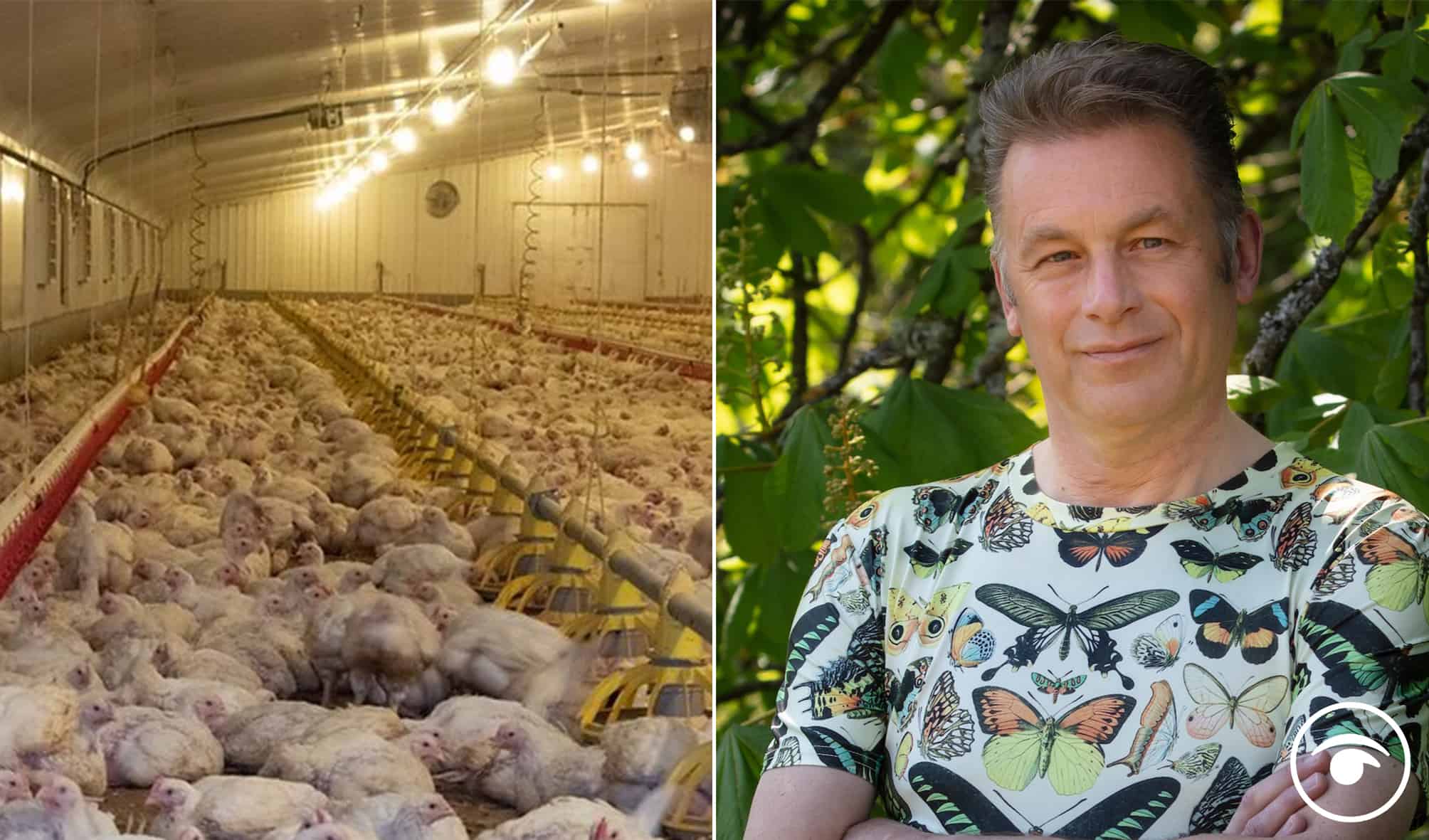 Supermarkets responsible for ‘biggest cause of hidden animal suffering,’ says Chris Packham