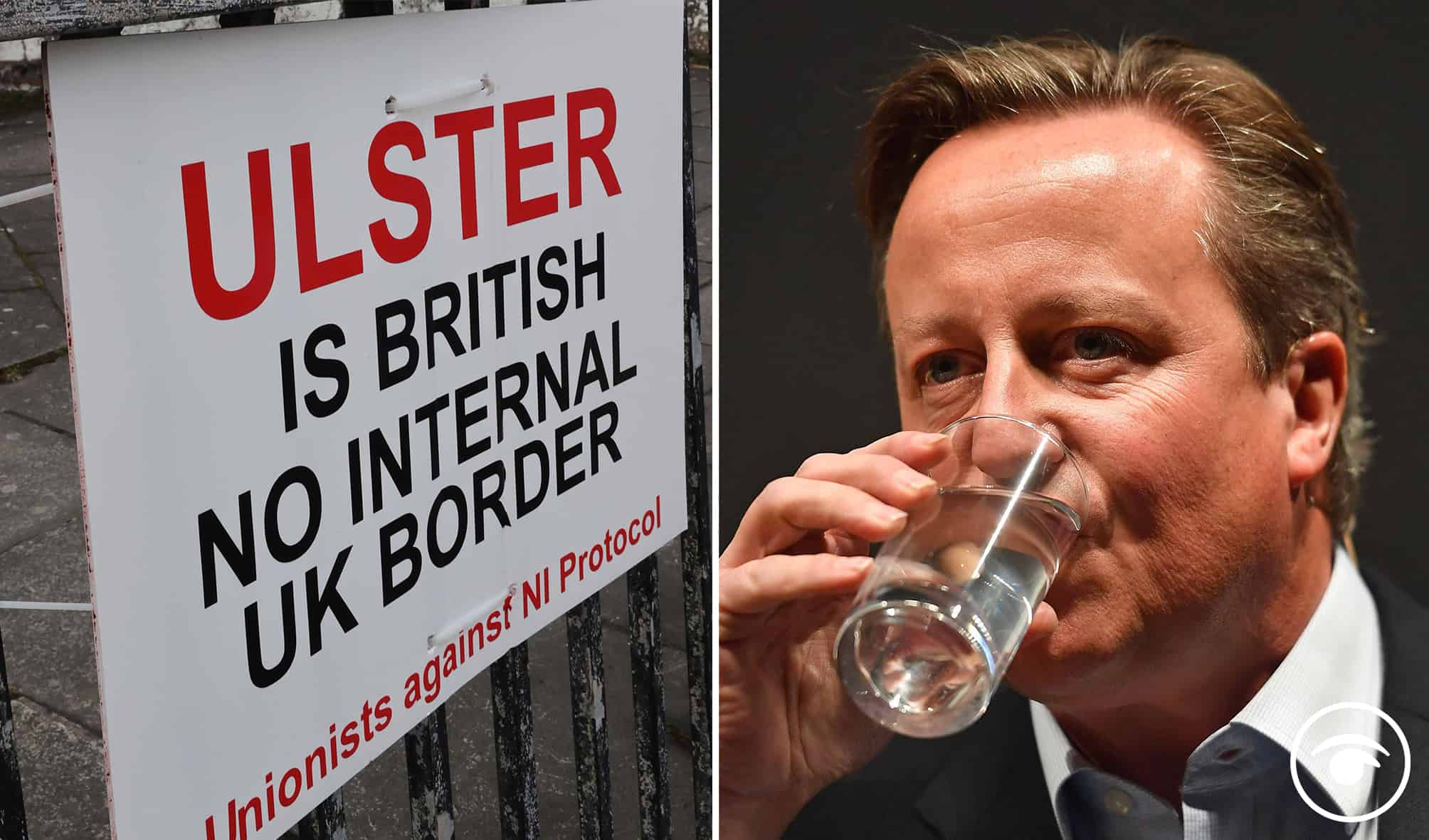 Reactions as Cameron admits mistake in pandemic planning…but not for Brexit