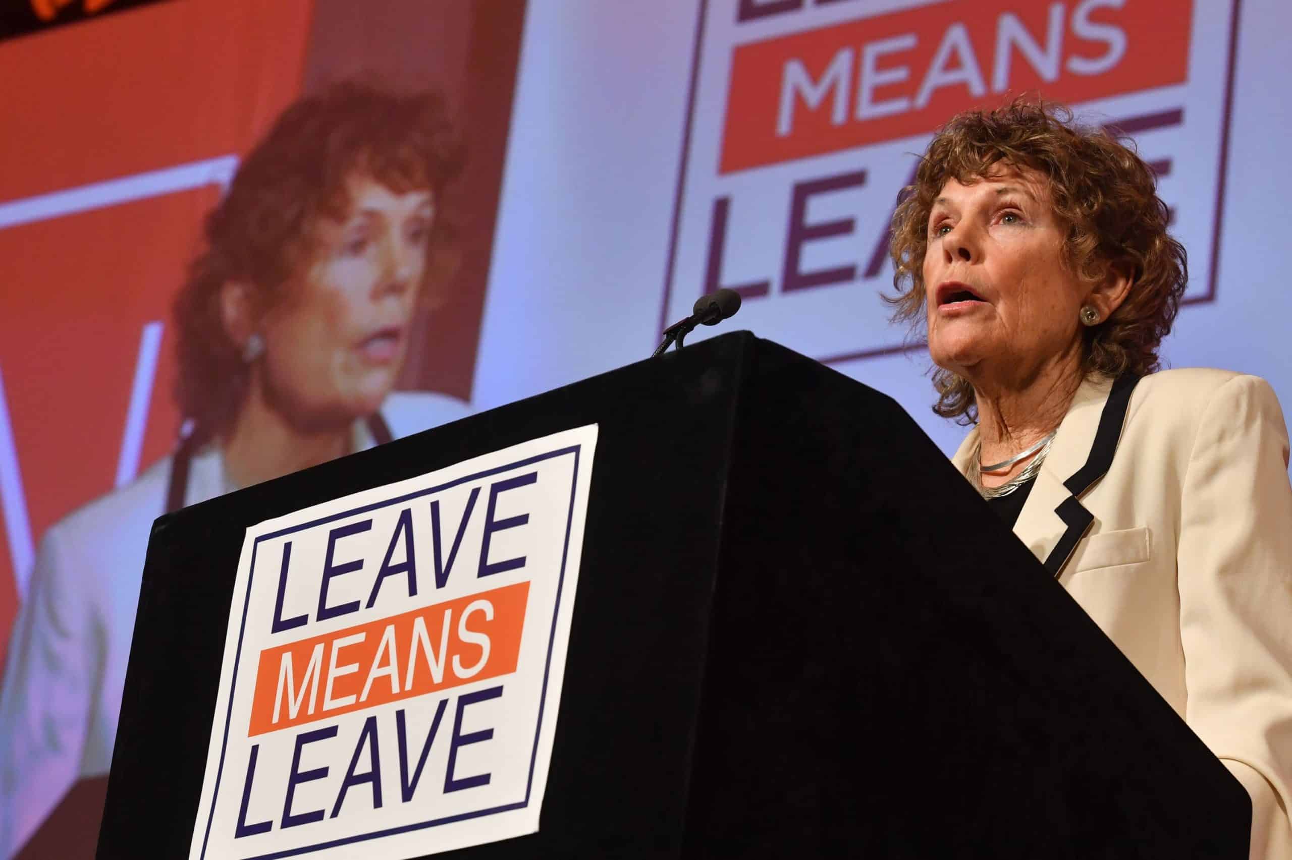 Kate Hoey says Irish used ‘threat of IRA bombs’ to get its way in Brexit talks