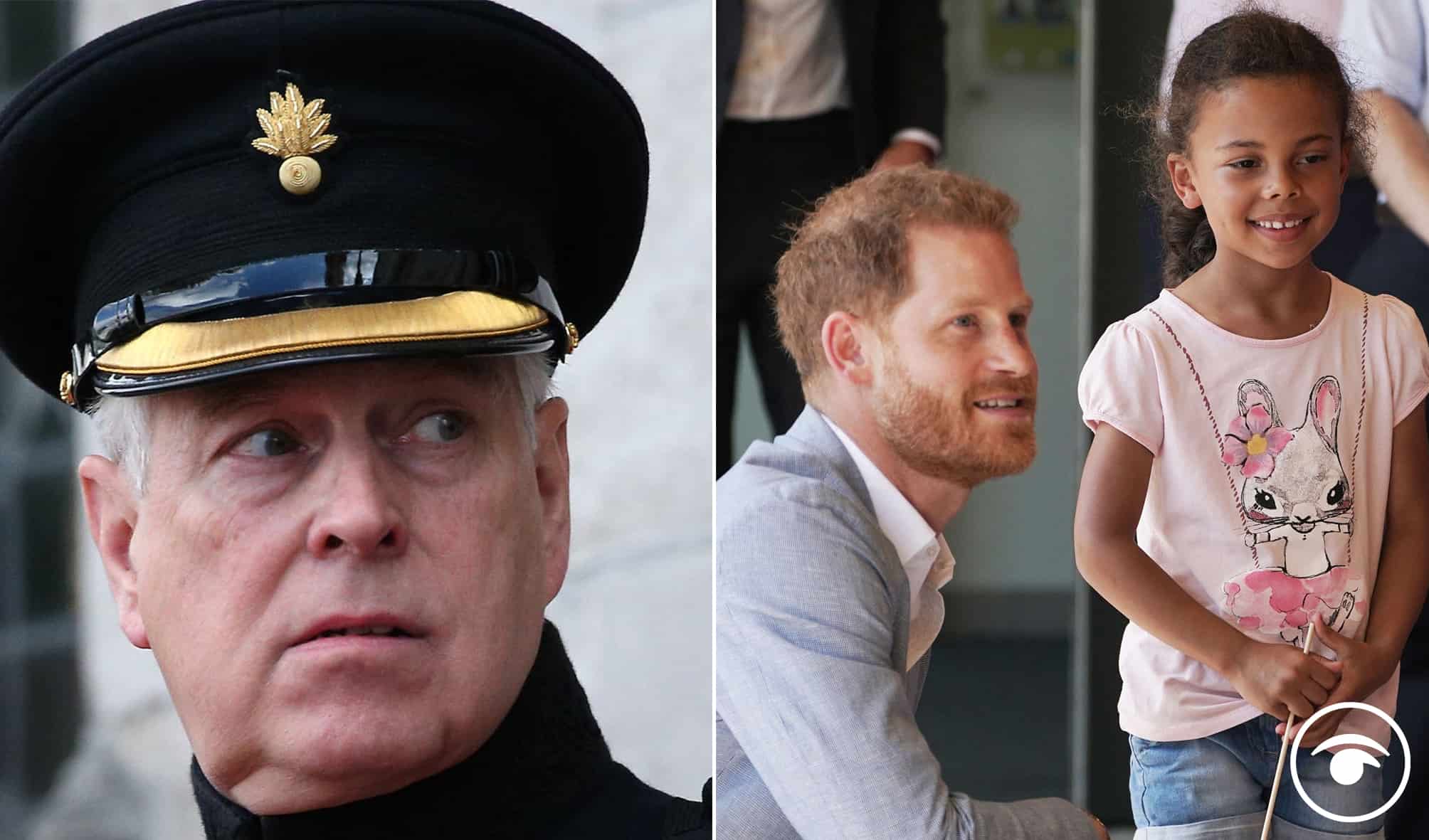 Over 30,000 sign petition ‘inviting’ Prince Harry to give up titles but plan backfires on social media
