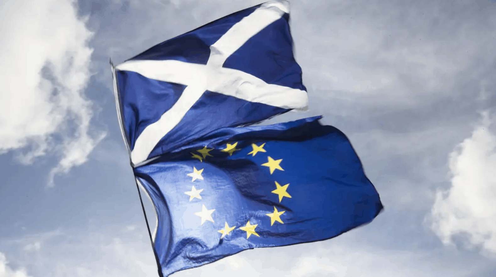 Scotland to protect EU citizens’ rights despite ‘pig-headed’ UK government