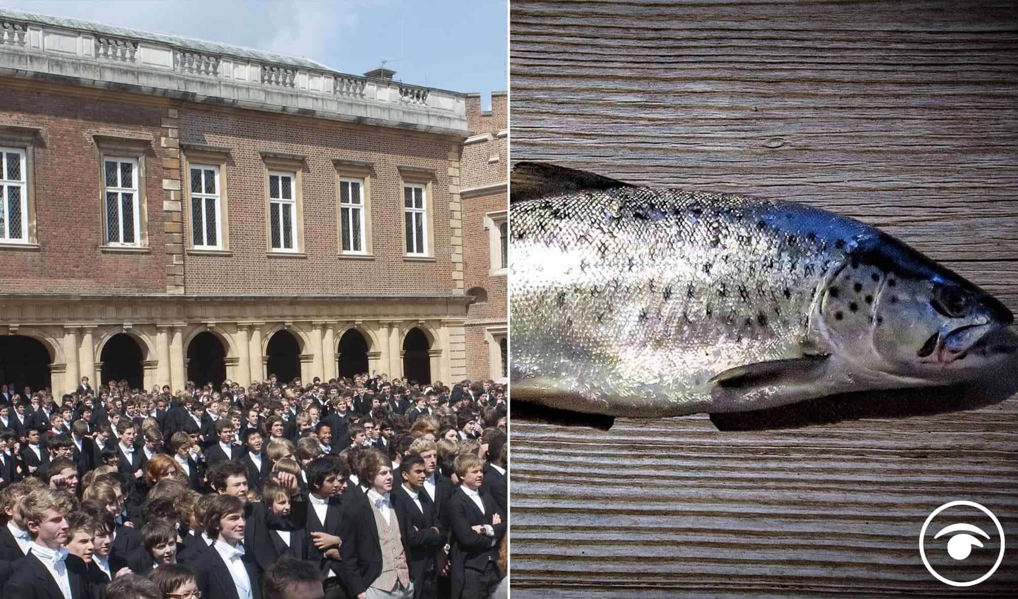 Eton College plans for 3,000 home town could destroy one of Britain’s most important trout populations
