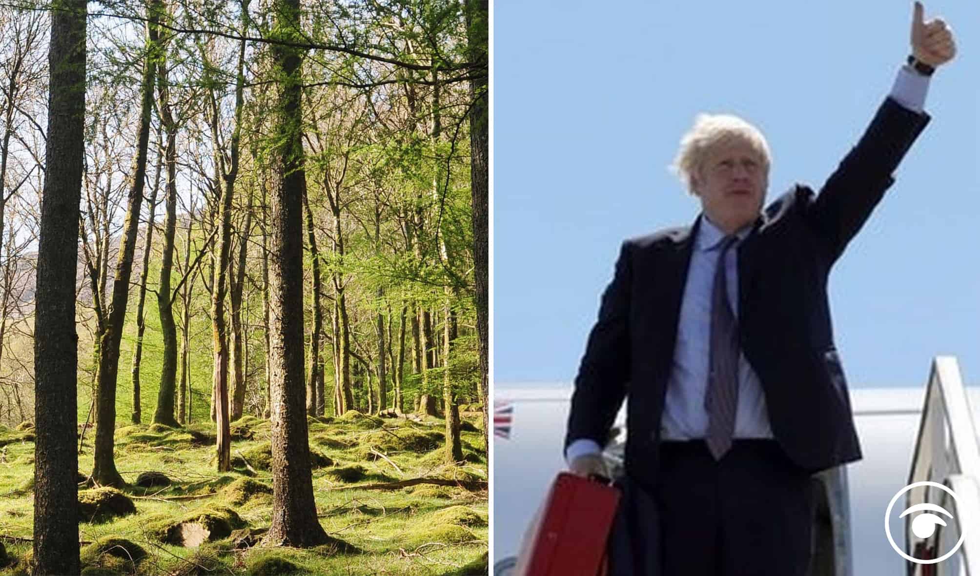Tree planting rates fail to increase as PM promises ‘green’ recovery after flying on private jet to Cornwall