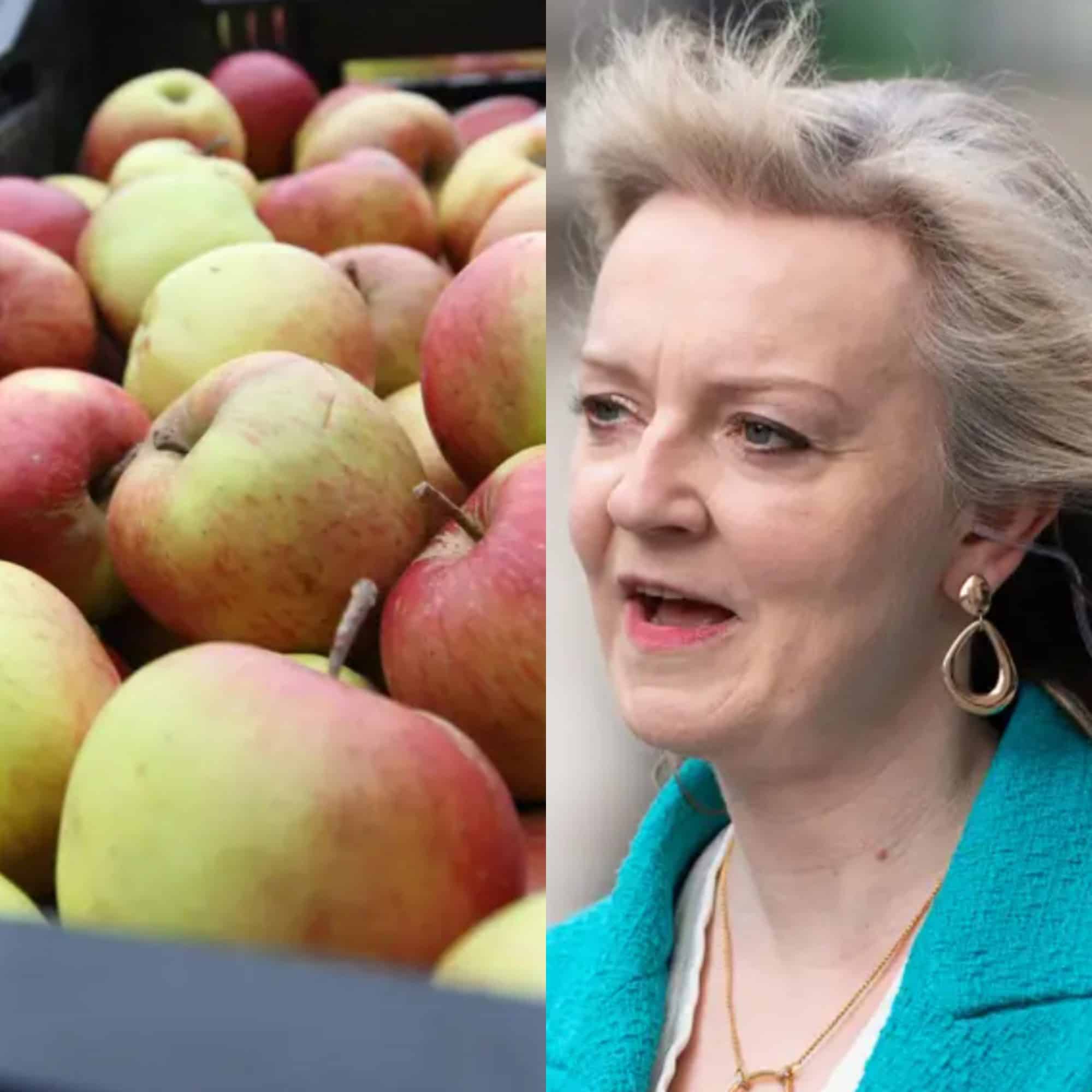 Liz Truss tried to boast about exporting apples to India. It didn’t go well.