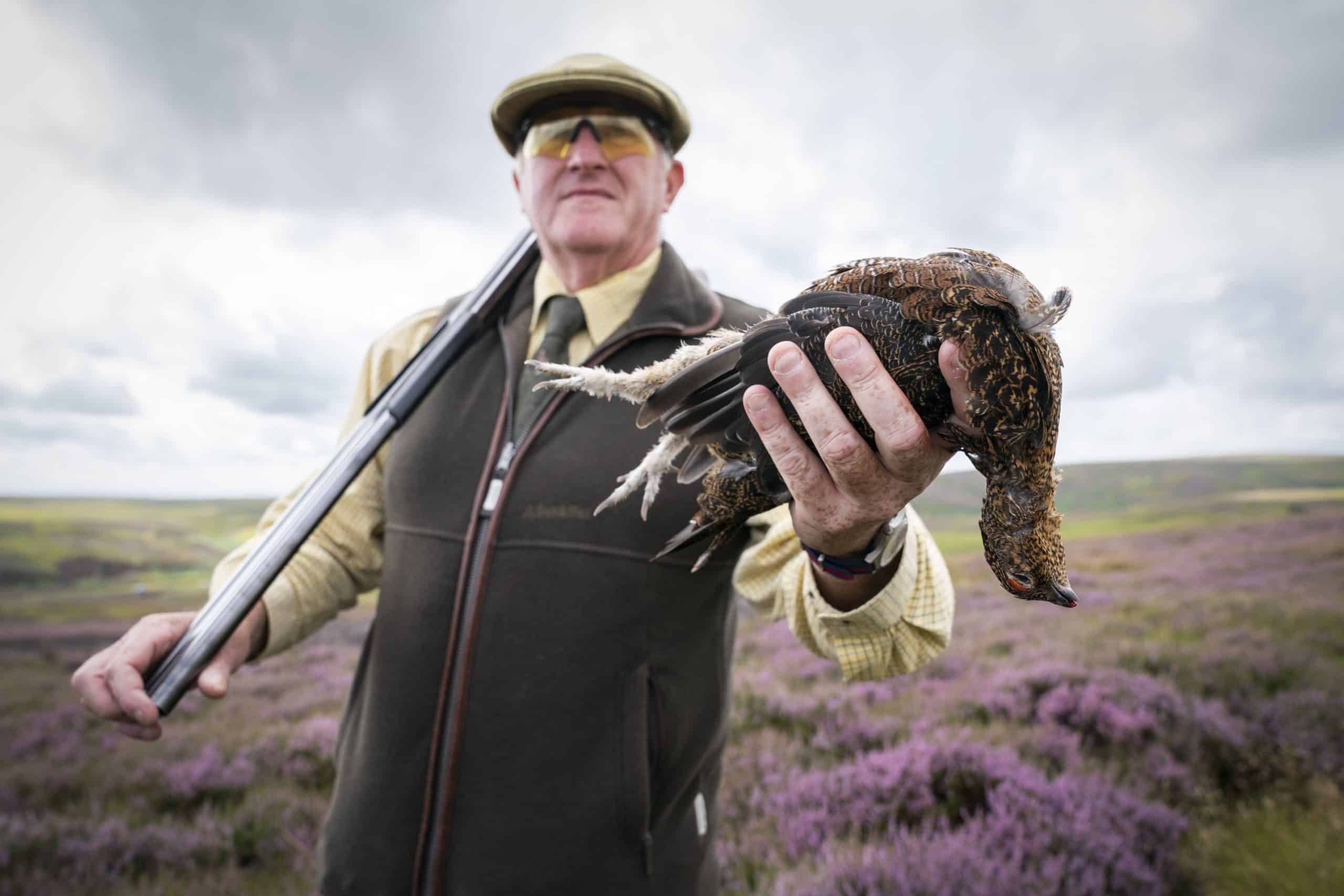 Grouse shooting: ‘A glorious 12th for hunt saboteurs’