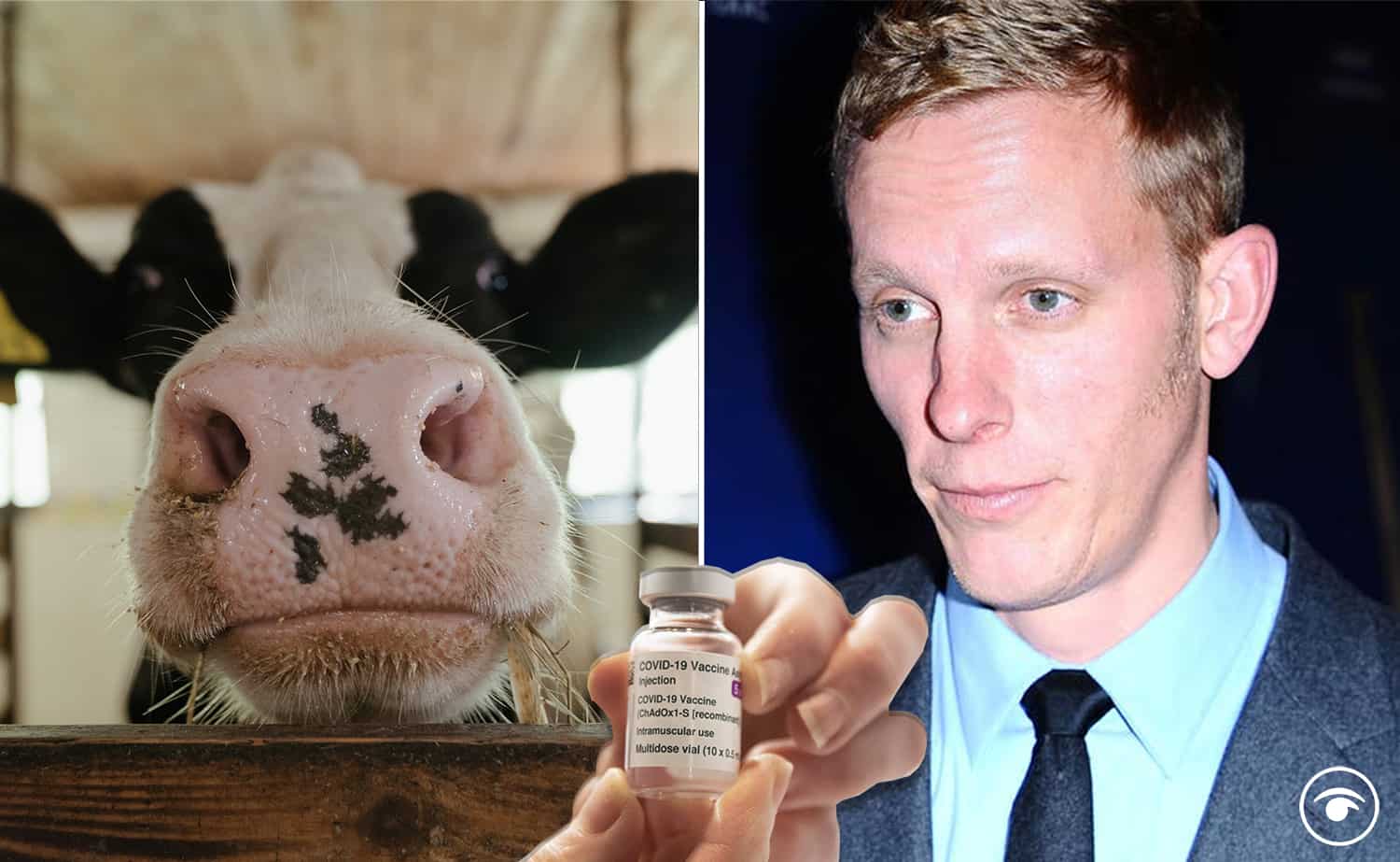 Anti-vaxxers pretend to be vegan to avoid getting jabbed