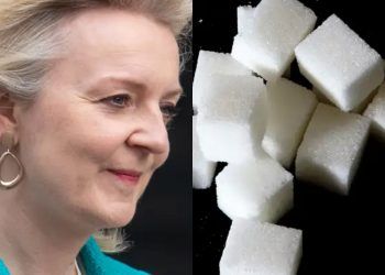 Liz Truss Sugar