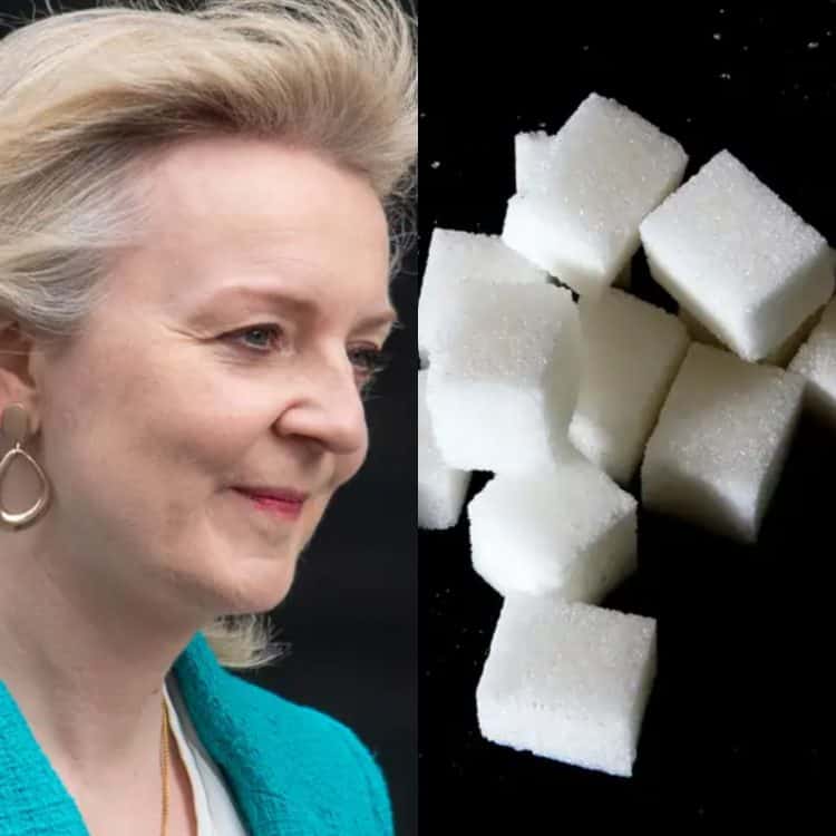 Liz Truss Sugar